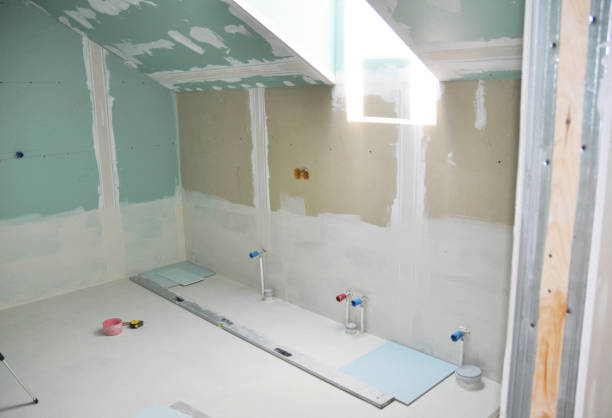 Best Emergency Mold Remediation  in USA
